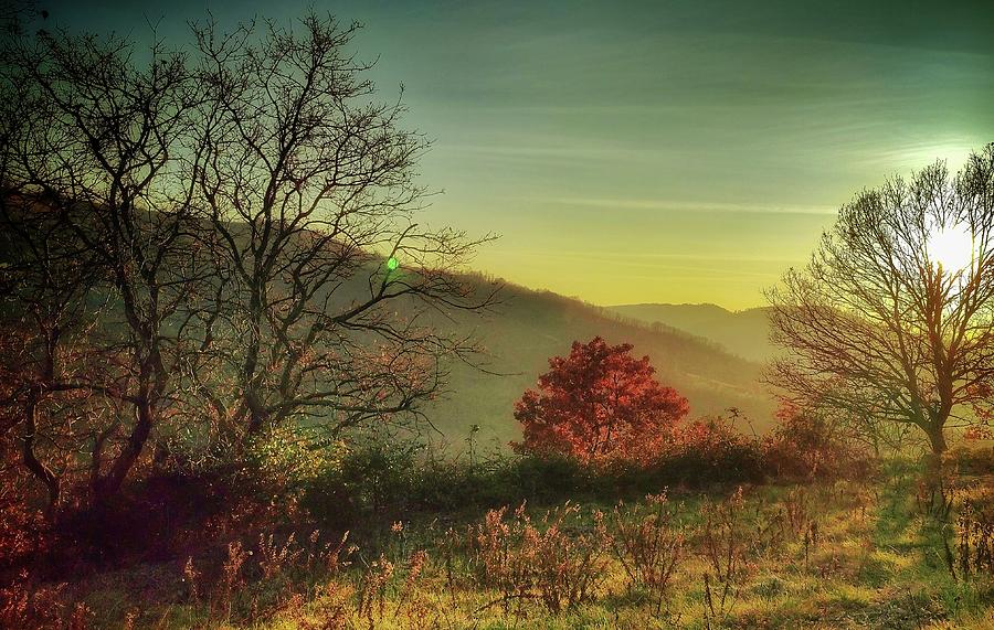 Mountain Photograph - Yellow winter sunset by Alan Holpin