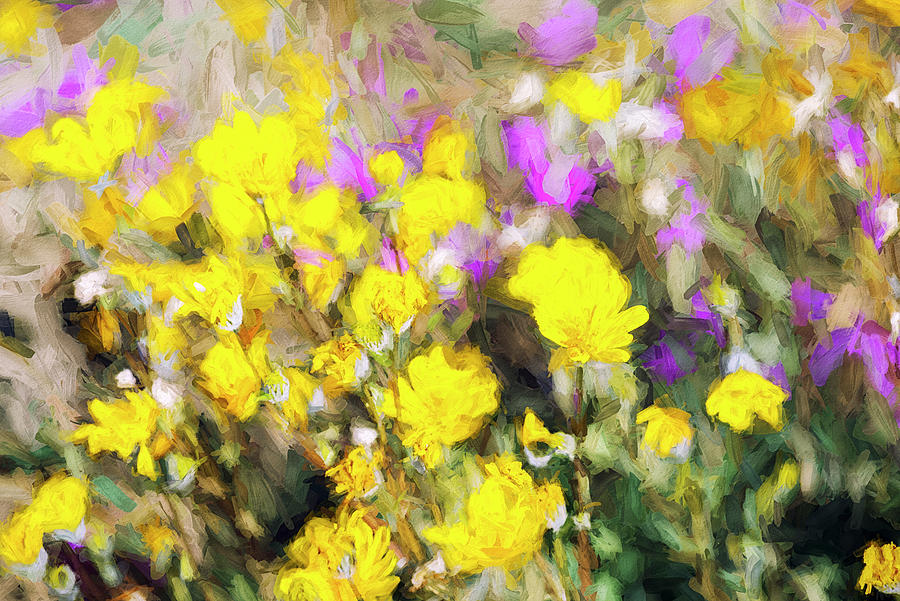 Flower Digital Art - Yellow With Purple Splashes Painterly Style by Joseph S Giacalone