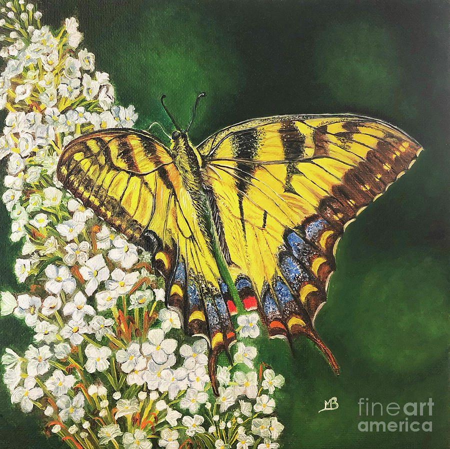 Butterfly Painting - Yellow Wonder by Wildlife and Nature