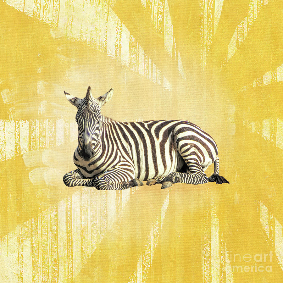 Yellow Zebra Photograph by Elisabeth Lucas - Fine Art America