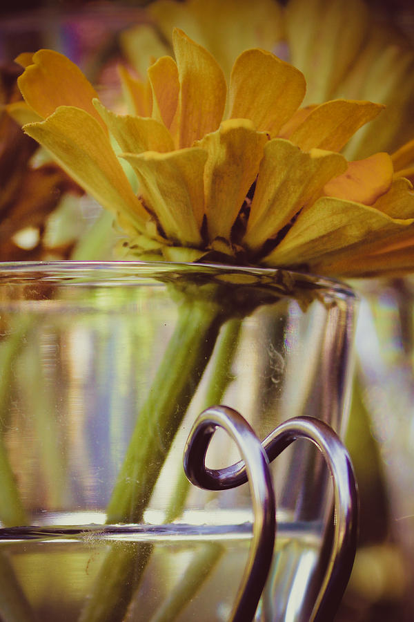 Yellow Zinnia, Glass and Metal Cup Photograph by W Craig Photography
