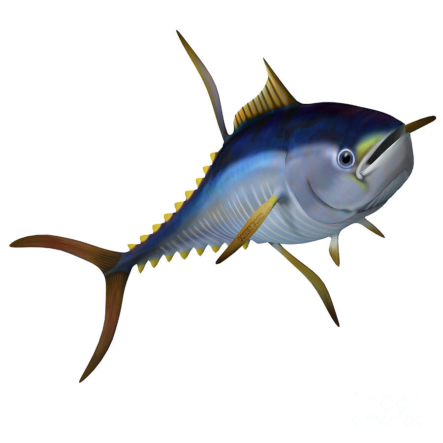 Fish Digital Art - Yellowfin Tuna by Corey Ford