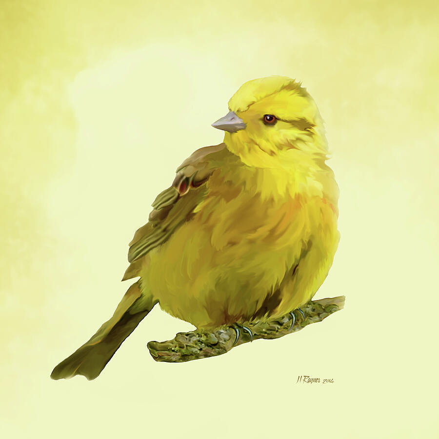 Yellowhammer Painting by Bamalam Art Yellowhammer Painting by Bamalam Art