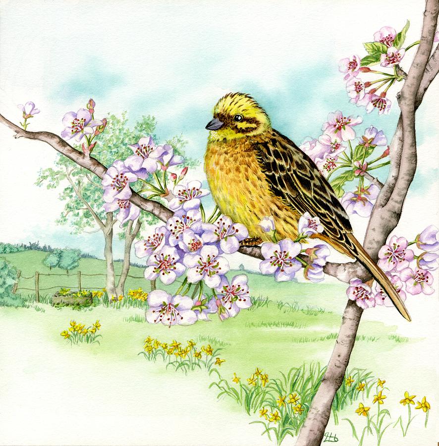 Yellowhammer Painting by Lynne Henderson - Fine Art America