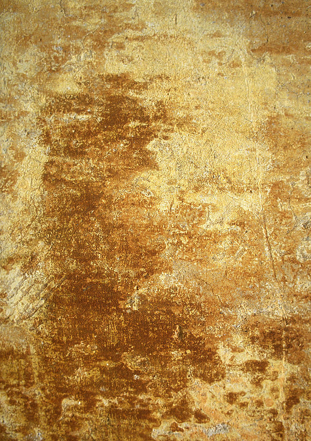 Yellowing, brownish wall. Photograph by Isabelle Rozenbaum