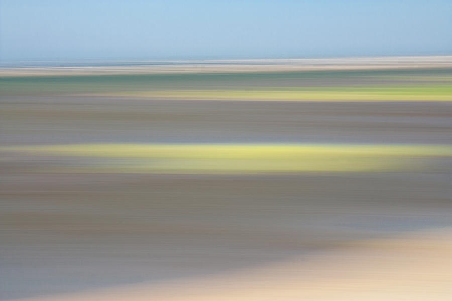 Yellows and Greens on the Moors Photograph by David Wennerberg Yellows and Greens on the Moors Photograph by David Wennerberg