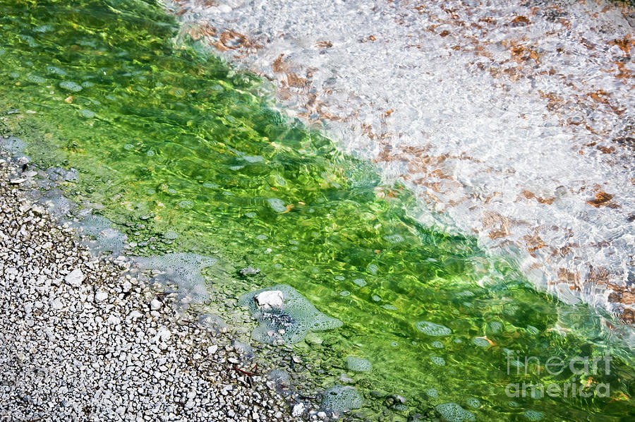 Yellowstone abstract colors Photograph by Delphimages Photo Creations