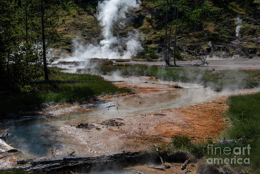 Yellowstone Artists Paint Pots Photograph By Shawn Dechant   Yellowstone Artists Paint Pots Shawn Dechant 