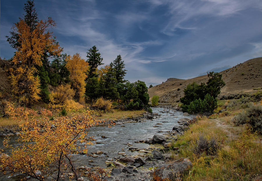 Yellowstone Autumn Photograph by Marcy Wielfaert