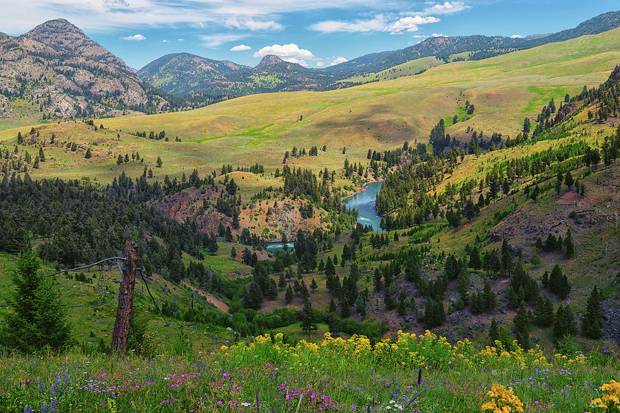 Yellowstone Backcountry Photograph by Greg Norrell