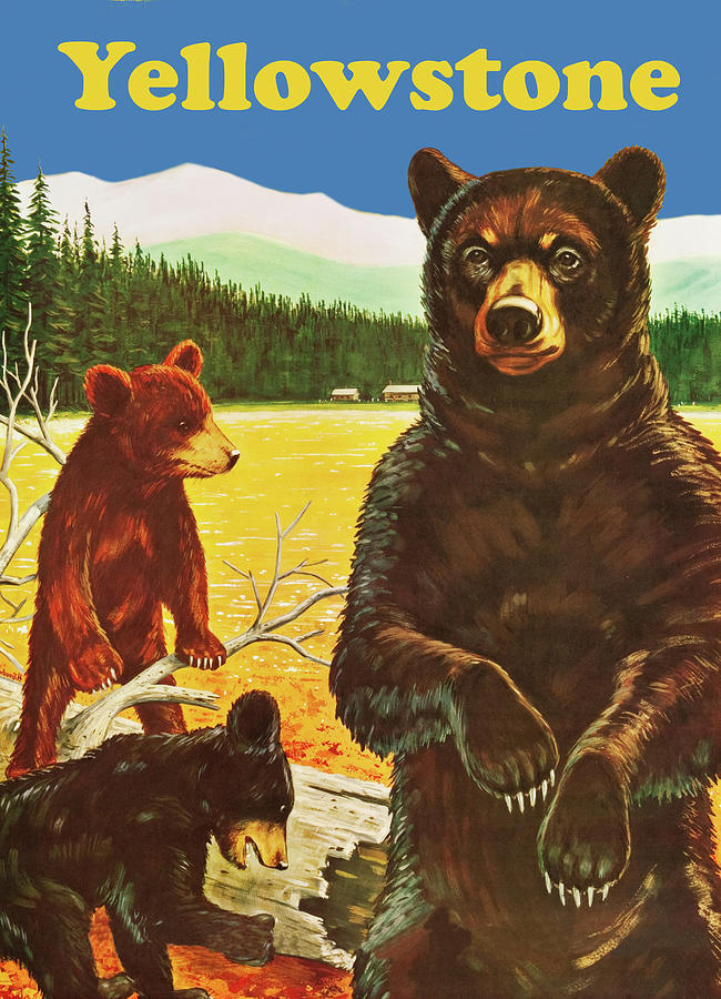 Yellowstone Bears Digital Art by Long Shot