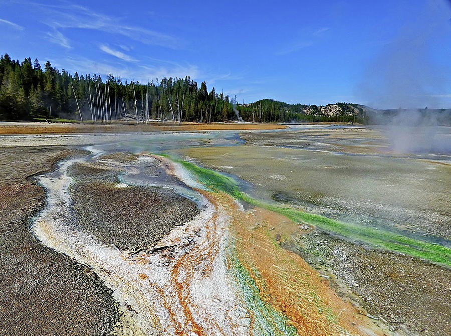Yellowstone Colors Photograph by Lyuba Filatova