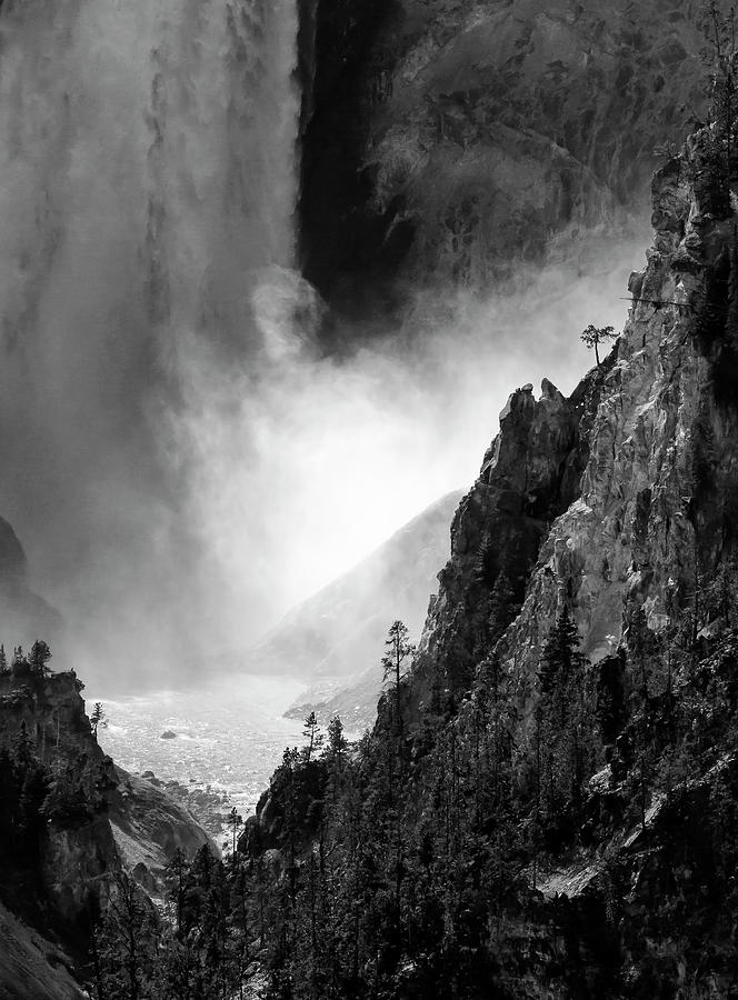 Yellowstone Falls, Mist, Trees, Silhouette 9839 Photograph by George ...