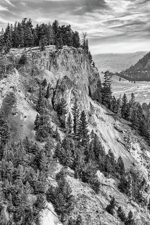 Yellowstone Golden Hour Black and White Photograph by Judy Vincent