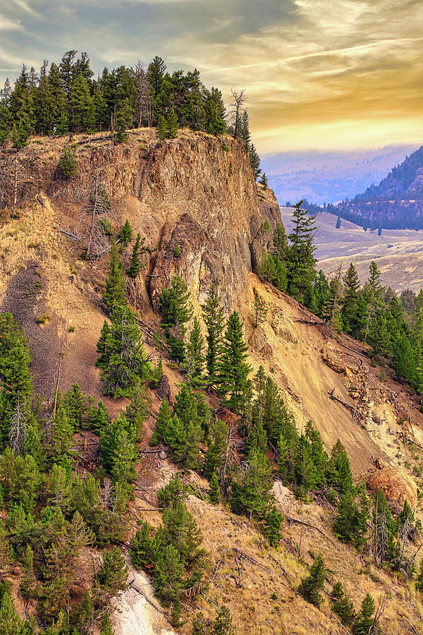 Yellowstone Golden Hour Photograph by Judy Vincent