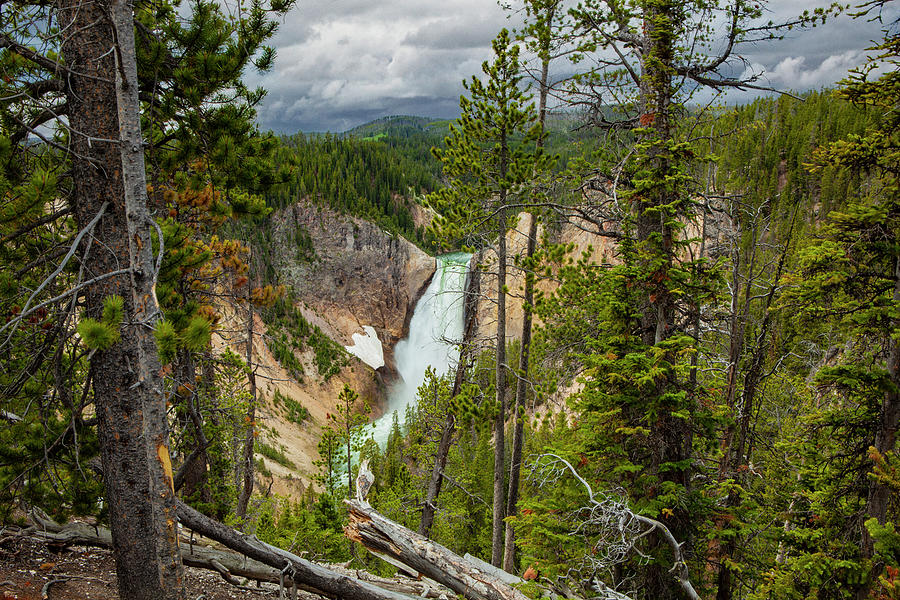 Yellowstone Grand Canyon at the Lower Falls Photograph by Randall Nyhof