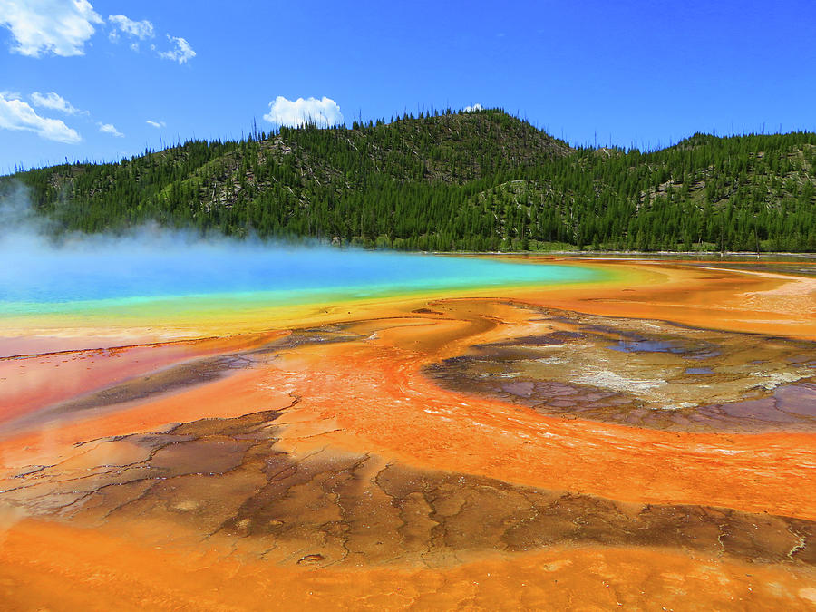 Yellowstone Grand Prismatic Spring Photograph by Rick Wilking
