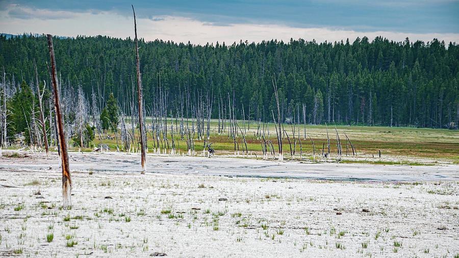 Yellowstone Hotspots Photograph by Rob Hemphill