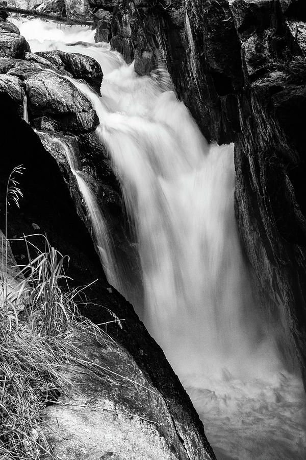 Yellowstone in Black and White Photograph by Terri Morris