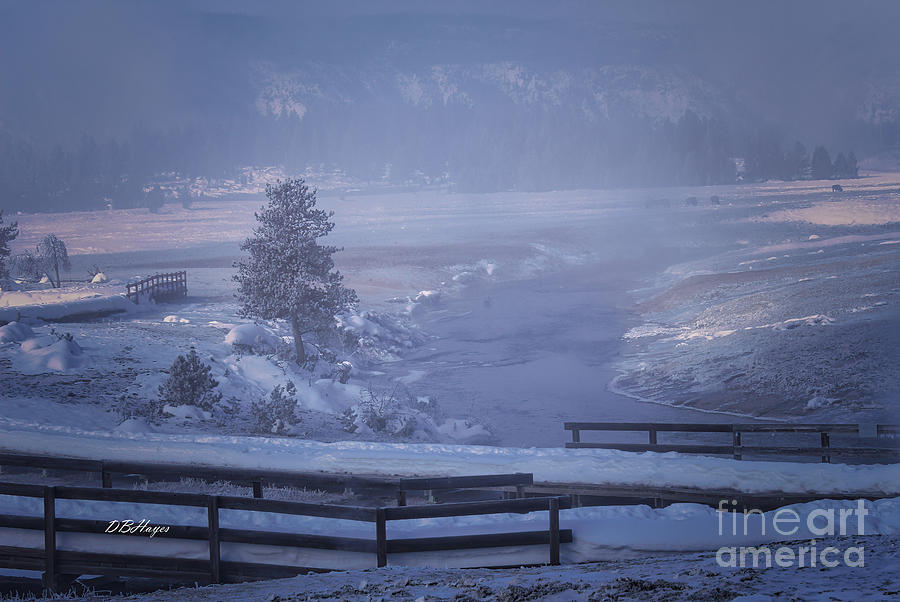 Yellowstone In Fog Photograph by DB Hayes