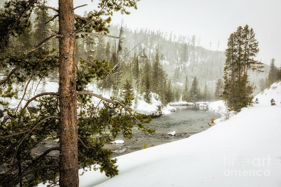 Yellowstone In Winter Photograph by Timothy Hacker