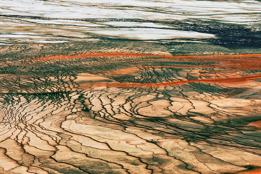 Yellowstone Photograph by Jose Luis Vilchez