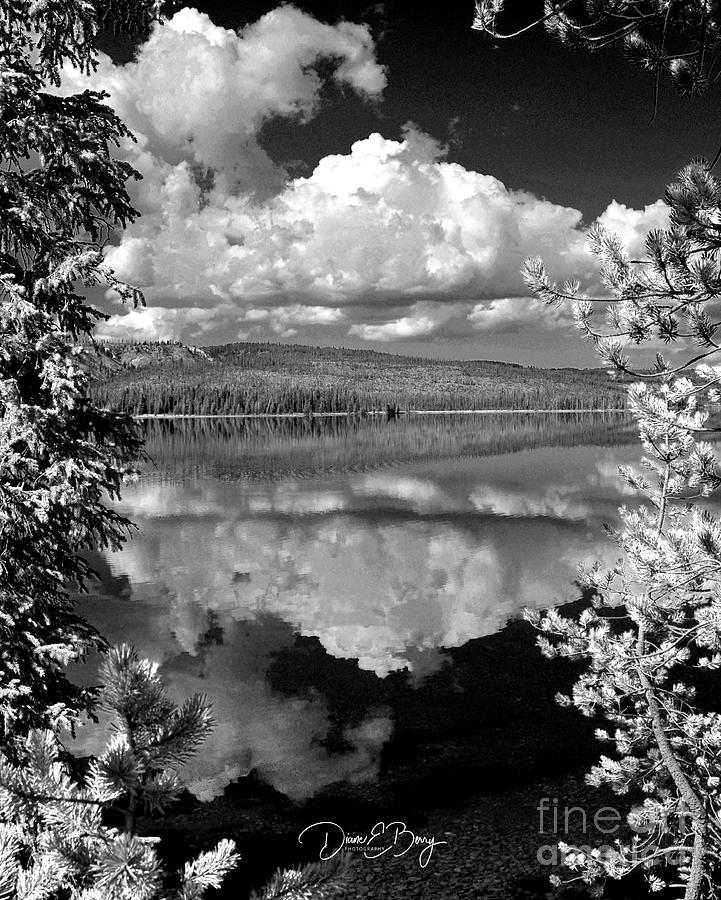 Yellowstone Lake View Photograph by Diane E Berry
