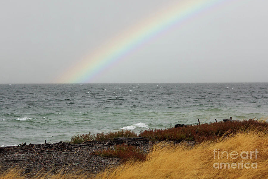 Yellowstone Lake with Rainbow Photograph by Lynn Sprowl