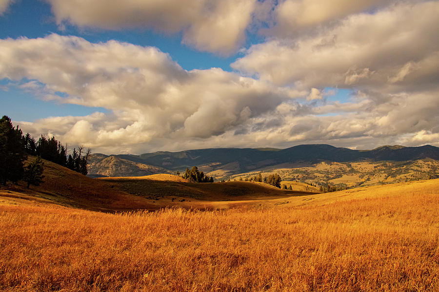 Landscape Photograph - Yellowstone landscape in Autumn by Jeff Swan