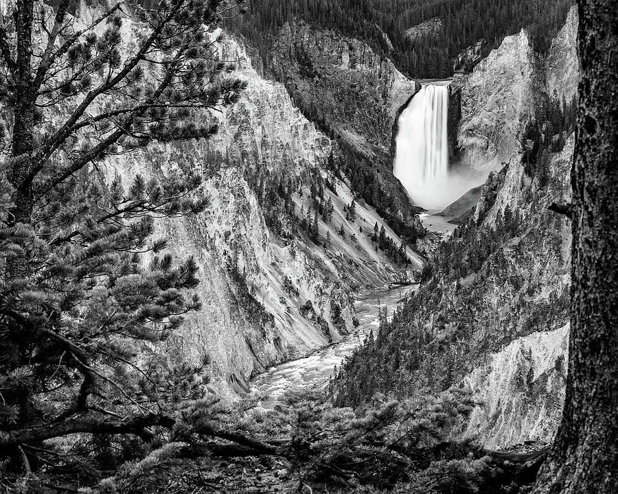 Yellowstone Lower Falls - #2 Photograph by Stephen Stookey