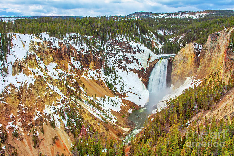 Lower Yellowstone Falls in Spring Photograph by Charline Xia