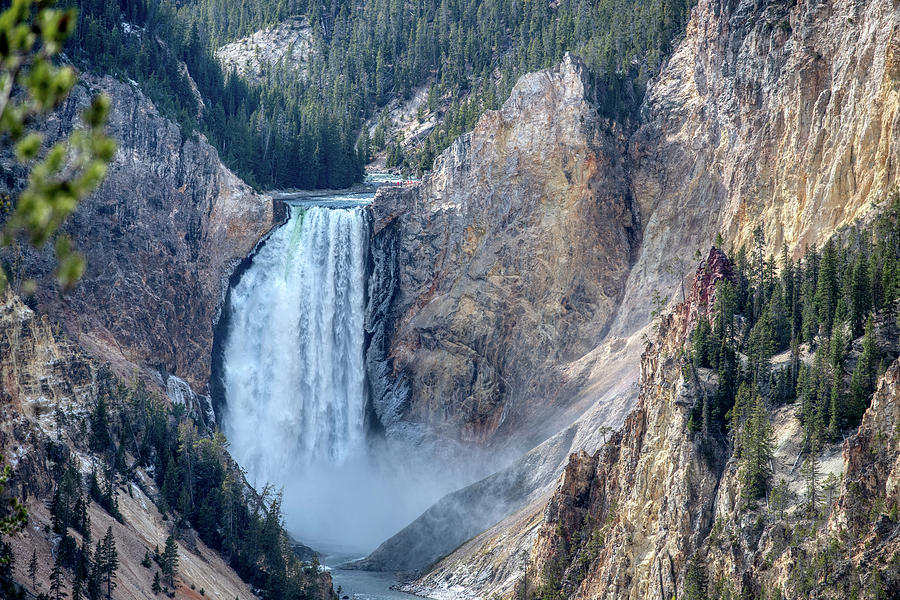 Yellowstone Lower Falls Photograph by Paul Freidlund