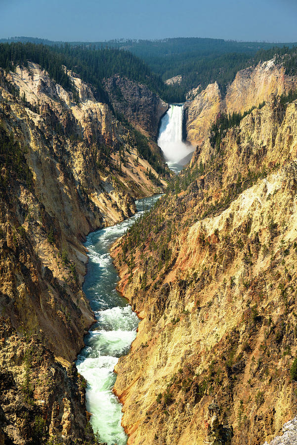 Yellowstone Lower Falls Photograph by Tara Krauss