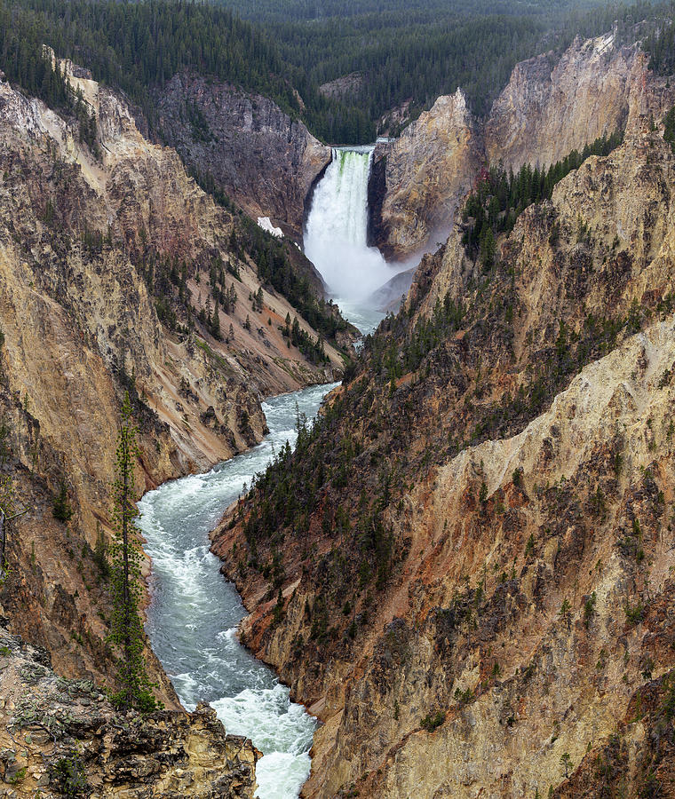 Yellowstone Lower Falls Photograph by Tim Stanley