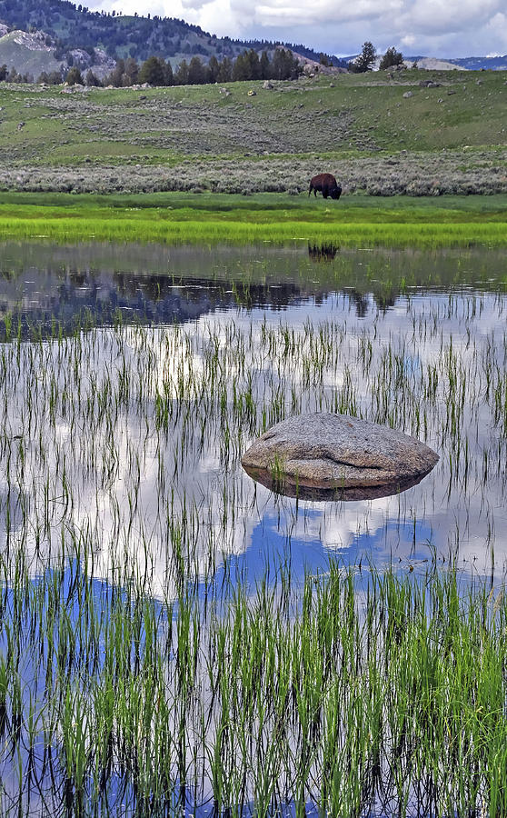 Mirror To Yellowstone  Photograph by Randall Dill