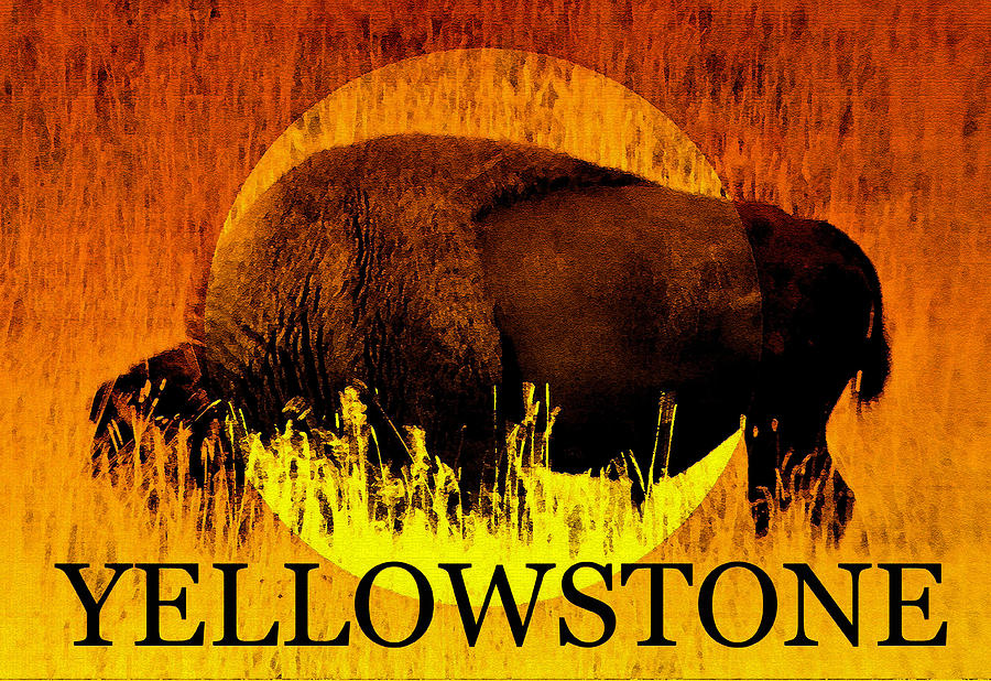 Yellowstone National Park Bison Mixed Media by David Lee Thompson