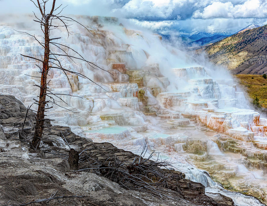 Yellowstone National Park - Canary Spring at Mammoth Photograph by Stephen Stookey