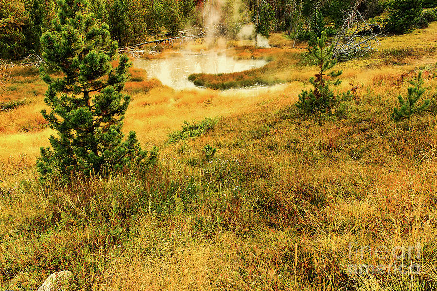Yellowstone National Park Hot Pool Landscape Photograph by Ben Graham