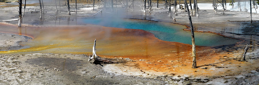 Yellowstone National Park hot spring Photograph by Sonny Ryse