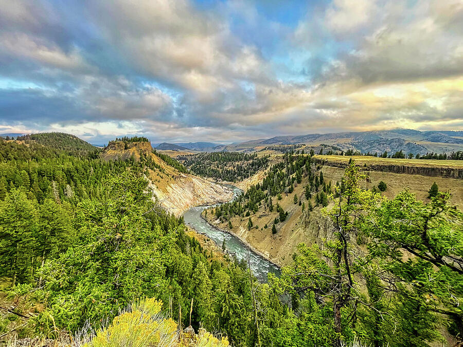 Yellowstone National Park Landscape Photograph by Judy Vincent