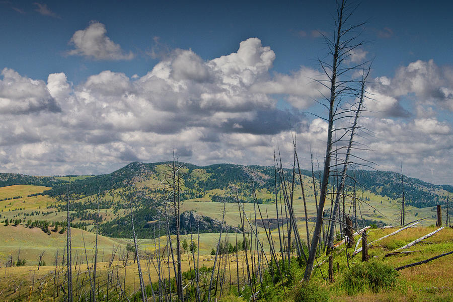 Yellowstone National Park Scenic View Photograph by Randall Nyhof