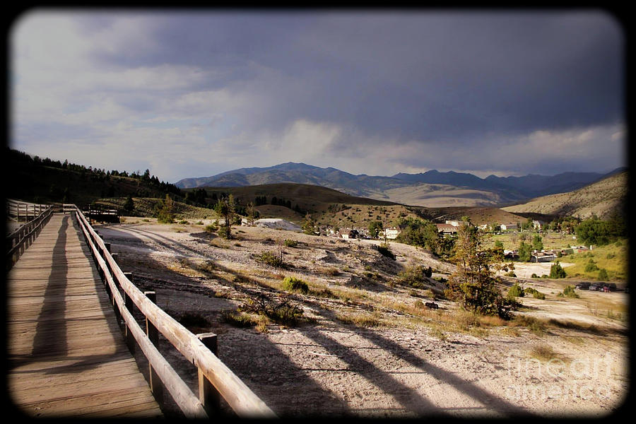 Yellowstone National Park - Series 1 Photograph by Doc Braham