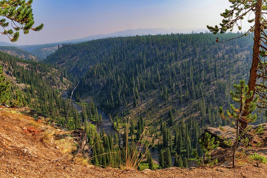 Yellowstone No. 1 Photograph by Marisa Geraghty Photography