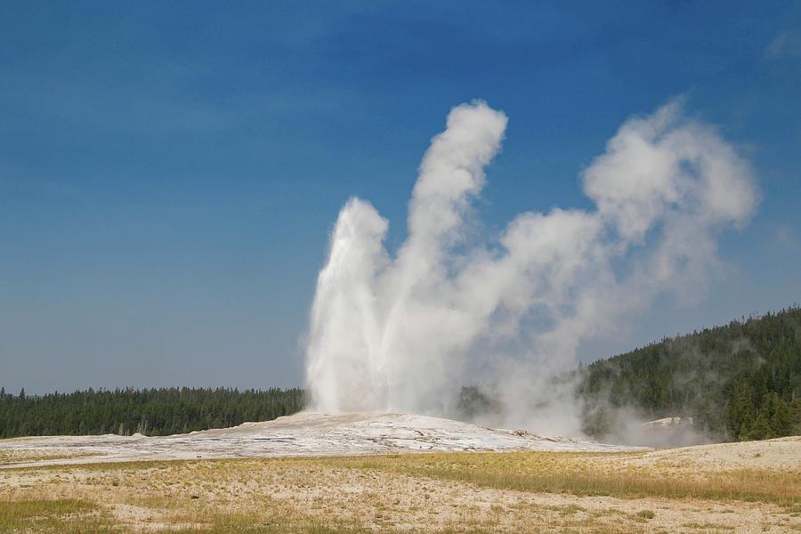 Yellowstone No. 15 Photograph by Marisa Geraghty Photography