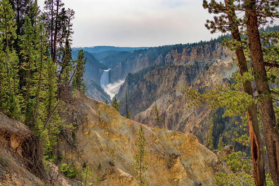 Yellowstone No. 45 Photograph by Marisa Geraghty Photography