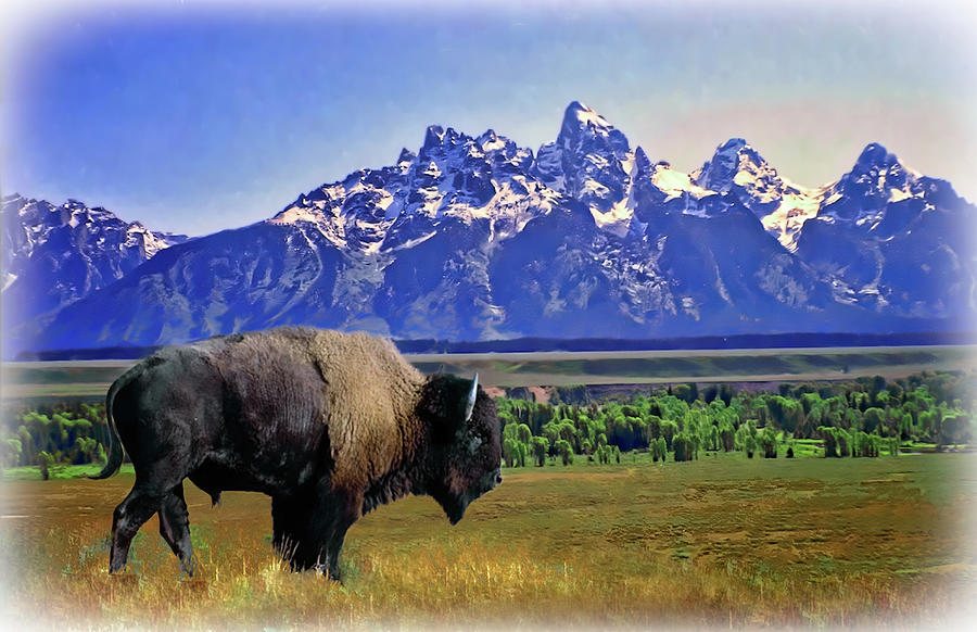 Yellowstone Park Photograph by Rob Olson - Fine Art America