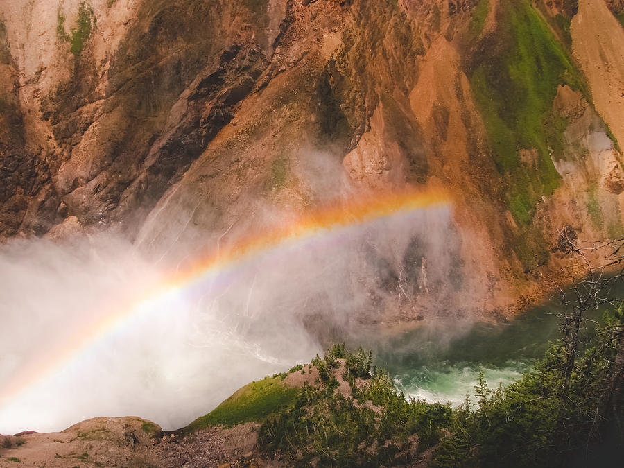 Yellowstone Rainbow Photograph by Allin Sorenson