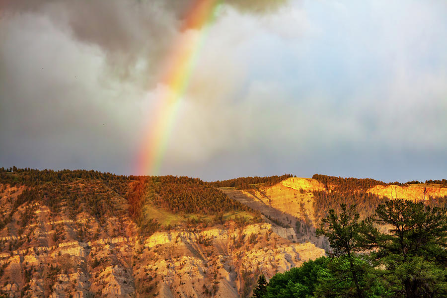 Yellowstone Rainbow Photograph by Tatiana Travelways