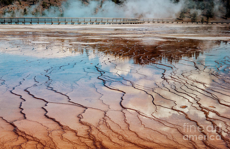 Yellowstone Reflection Photograph by Sandra Bronstein