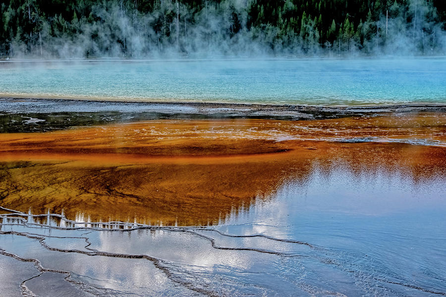 Yellowstone Reflections II Photograph by Tom Singleton